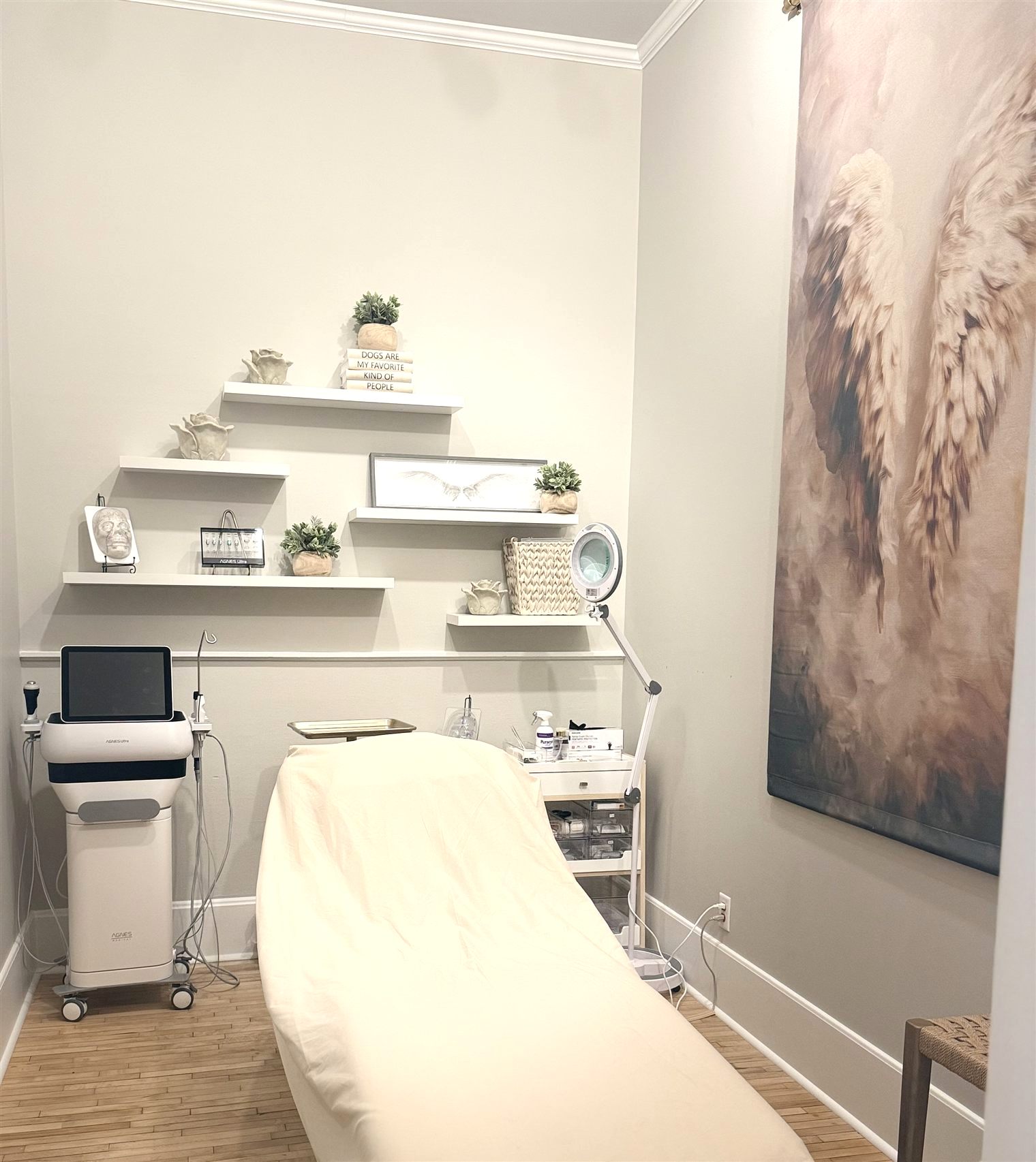 The Agnes Ultra treatment room at Solara Aevum, with the angel-wing tapestry and Agnes device
